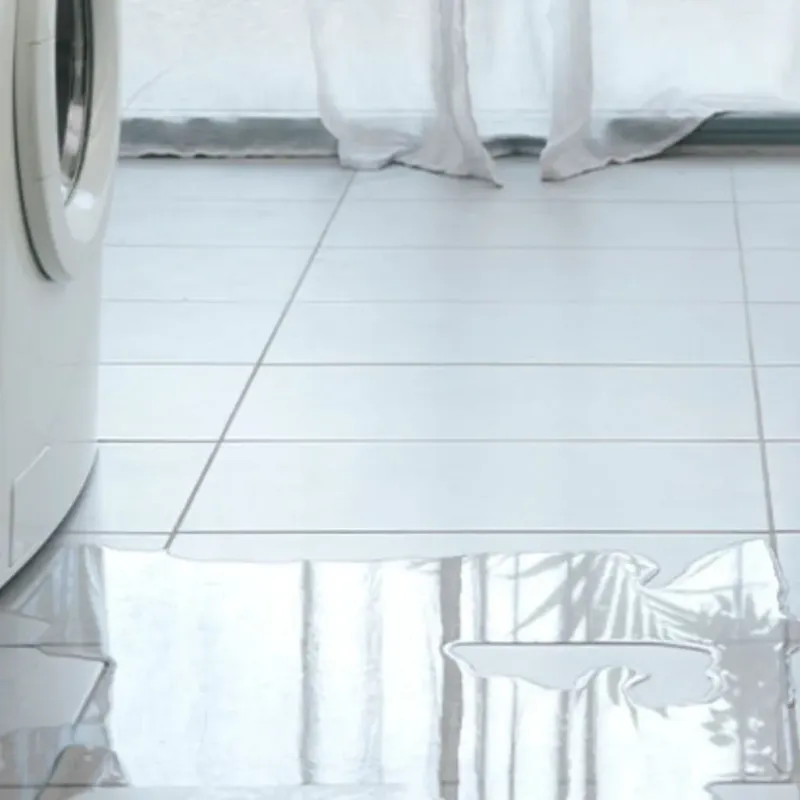 Appliance Leak Cleanup in Roseto, PA