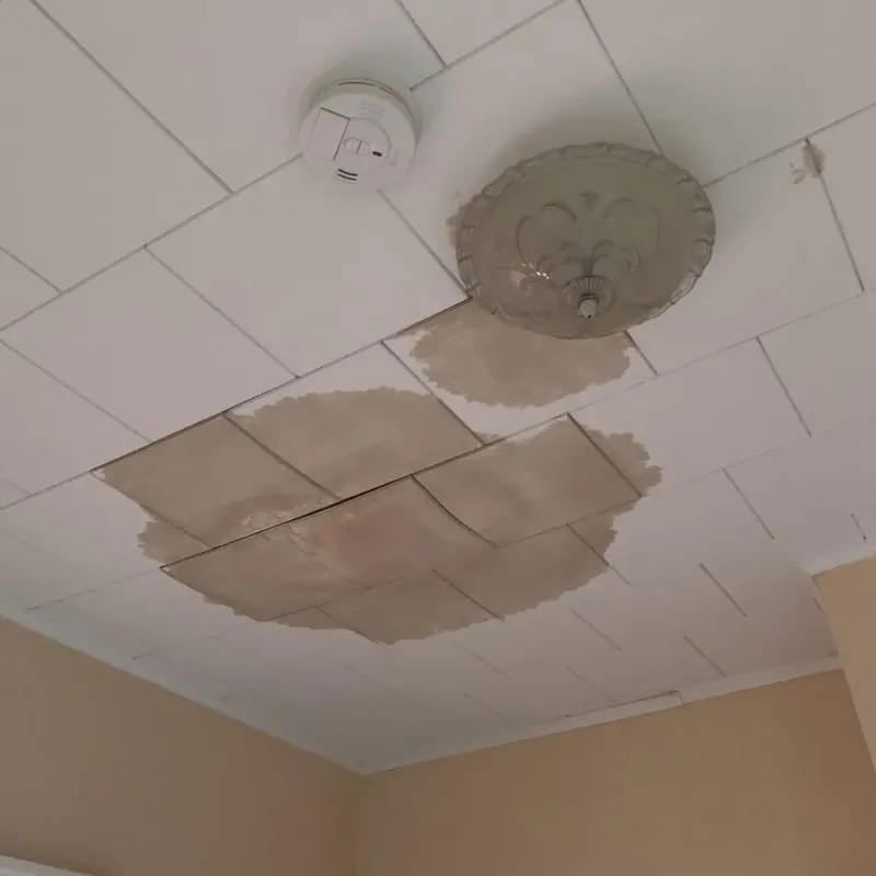 Ceiling Water Damage Repair in Roseto, PA