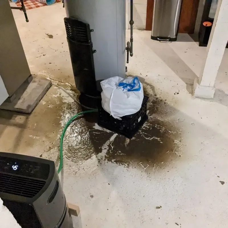 Sewage Backup Cleanup Service in Roseto, PA